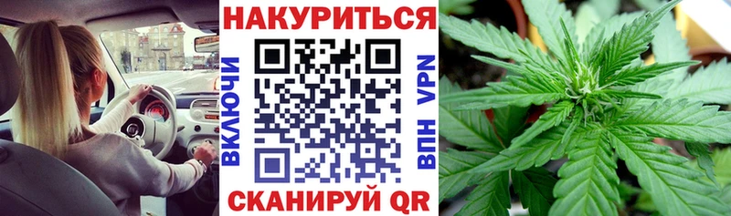 Как найти наркотики Новотроицк АМФ  Псилоцибиновые грибы  МЕФ  COCAIN  Alpha-PVP 