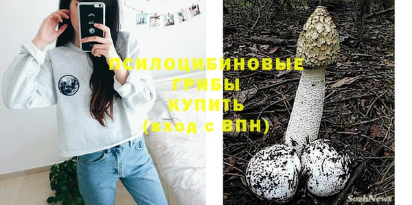 а пвп мука Богданович