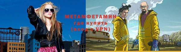 прущие грибы Богородск