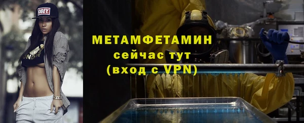 прущие грибы Богородск