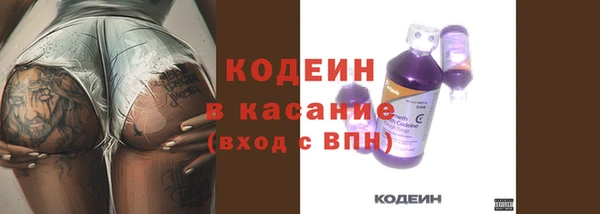 прущие грибы Богородск
