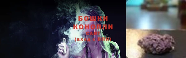 гашик Богородицк