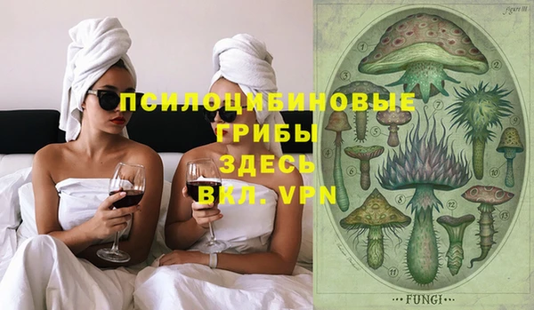 гашик Богородицк