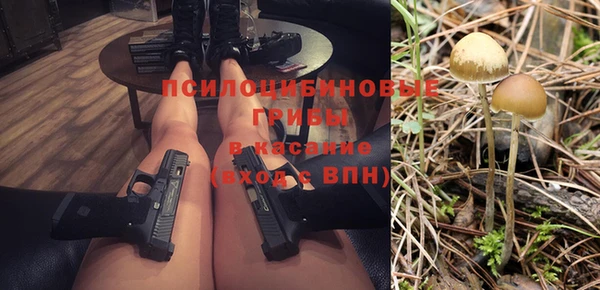 прущие грибы Богородск