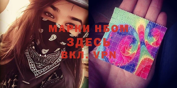 прущие грибы Богородск