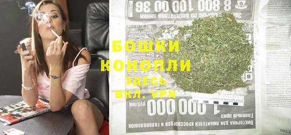 прущие грибы Богородск