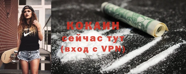 гашик Богородицк