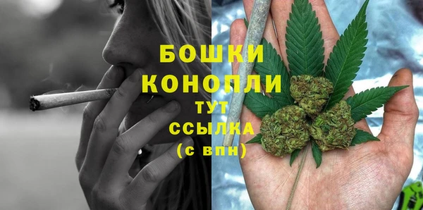 прущие грибы Богородск