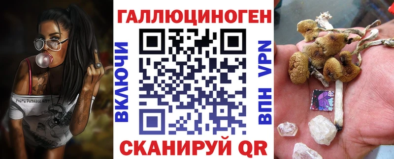 OMG маркетплейс  Новотроицк  Псилоцибиновые грибы прущие грибы 